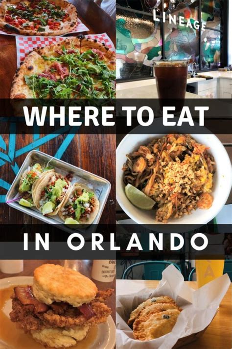 The Gateway to Adventure: Exploring Orlando's Magical Delights